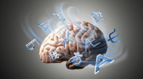成人 兒童對話加強了大腦發(fā)育的語言區(qū)域