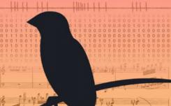 Songbird數據為學習感覺運動技能提供了新的理論