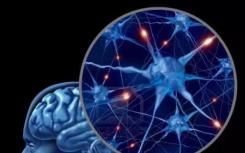 社會意識的增強(qiáng)表明自閉癥患者的大腦發(fā)生了變化