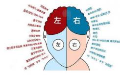 研究表明記憶訓(xùn)練需要針對(duì)特定的困難才能有效