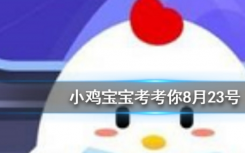 今天螞蟻莊園問(wèn)答：以下哪種動(dòng)物擁有和人類(lèi)相似的指紋