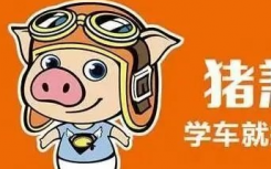 豬兼強駕校破產(chǎn)待退學費2億駕校財產(chǎn)不知去向