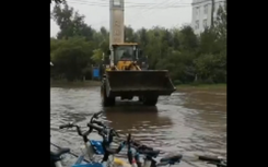 馬路積水鏟車運(yùn)送市民10元一位網(wǎng)友也需要考慮安全問題