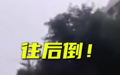 私家車插隊(duì)逆行