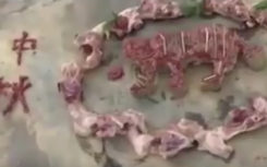 12種野生動(dòng)物吃到12款定制月餅
