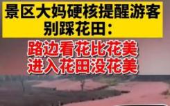 景區(qū)大媽硬核提醒游客別踩花田