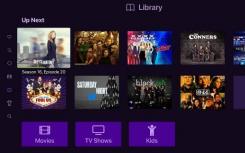 對于剪線鉗Plex可能就是ChannelsDVR
