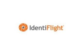 借助IdentiFlight AI技術(shù) 風(fēng)電場中的鳥類死亡得以大大減少