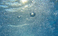 追蹤Sargasso海18度水域中的氧氣