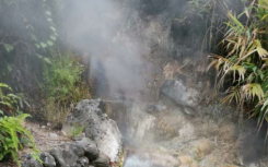 氣候友好型微生物使死去的植物窒息而沒有釋放甲烷