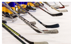 NHL團(tuán)隊正在使用iPad來深入了解球員的表現(xiàn)
