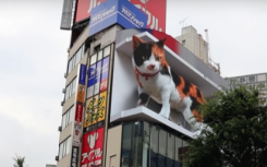 這個巨大的3D貓廣告牌是如此逼真你會想去親眼看看