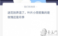 螞蟻莊園送花答案12.1:送花不要混淆 葉子又小又密是玫瑰還是玫瑰？