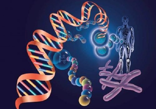 生物科學(xué)專業(yè)就業(yè)方向及就業(yè)前景分析