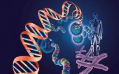 2022年生物科學(xué)專業(yè)的就業(yè)方向和前景如何？