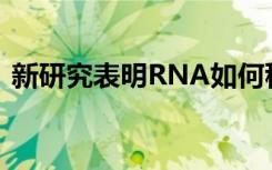 新研究表明RNA如何穩(wěn)定地與人工核酸結(jié)合
