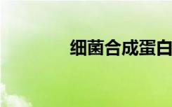 細菌合成蛋白質(zhì)量控制系統(tǒng)
