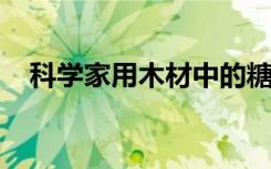 科學(xué)家用木材中的糖制造可持續(xù)的聚合物