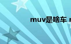 muv是啥車 muv是什么車