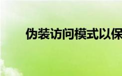 偽裝訪問模式以保護云中的敏感數據