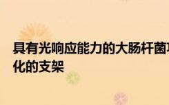 具有光響應(yīng)能力的大腸桿菌功能生物膜可作為羥基磷灰石礦化的支架