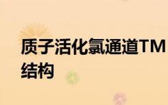 質(zhì)子活化氯通道TMEM206的低溫電子顯微結(jié)構(gòu)