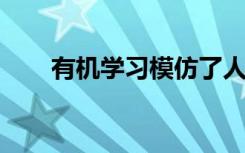 有機(jī)學(xué)習(xí)模仿了人類思想的某些方面