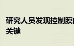 研究人員發(fā)現(xiàn)控制膜的納米級(jí)結(jié)構(gòu)是清潔水的關(guān)鍵