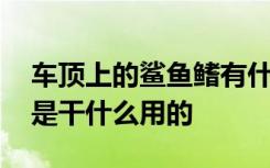 車頂上的鯊魚鰭有什么用 汽車頂上的鯊魚鰭是干什么用的