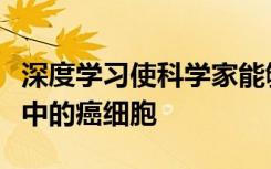 深度學(xué)習(xí)使科學(xué)家能夠在幾毫秒內(nèi)識別出血液中的癌細(xì)胞