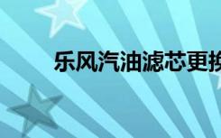 樂風(fēng)汽油濾芯更換 樂風(fēng)加什么汽油