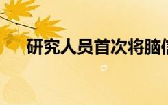 研究人員首次將腦信號(hào)直接轉(zhuǎn)換為語音