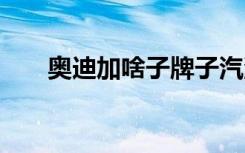奧迪加啥子牌子汽油 奧迪加什么汽油