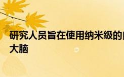 研究人員旨在使用納米級的自旋電子設(shè)備來構(gòu)建新型的人工大腦