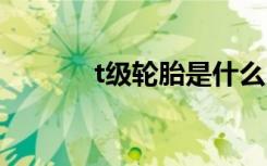 t級輪胎是什么 t級輪胎是什么