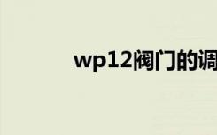 wp12閥門的調(diào)節(jié)方法是什么？