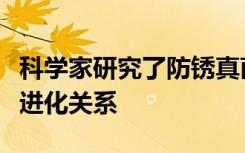 科學(xué)家研究了防銹真菌與小麥和伏?；ǖ墓餐M(jìn)化關(guān)系