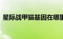 星際戰(zhàn)甲貓基因在哪里 星際戰(zhàn)甲貓基因位置
