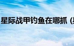 星際戰(zhàn)甲釣魚在哪抓 (星際戰(zhàn)甲釣魚在哪里抓)