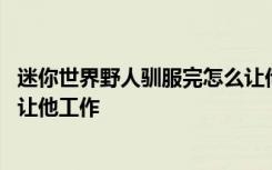迷你世界野人馴服完怎么讓他工作 迷你世界野人馴服后怎么讓他工作