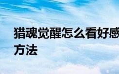 獵魂覺醒怎么看好感度 獵魂覺醒看好感度的方法