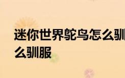 迷你世界鴕鳥怎么馴服江叔 迷你世界鴕鳥怎么馴服