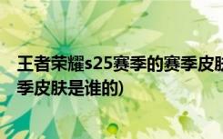 王者榮耀s25賽季的賽季皮膚是什么 (王者榮耀s25賽季的賽季皮膚是誰的)