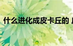 什么進化成皮卡丘的 皮卡丘是怎么進化來的