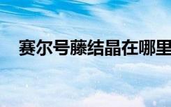 賽爾號(hào)藤結(jié)晶在哪里 (賽爾號(hào)藤結(jié)晶位置)