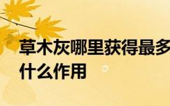 草木灰哪里獲得最多 草木灰方塊怎么獲得有什么作用