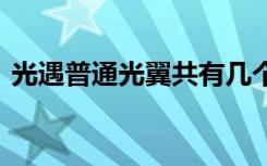 光遇普通光翼共有幾個(gè) 光遇光翼一共有幾個(gè)