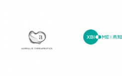 Aurealis Therapeutics和Xbiome簽訂許可和合作協(xié)議