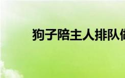狗子陪主人排隊(duì)做核酸抖成電動(dòng)臀