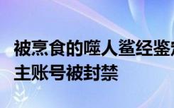 被烹食的噬人鯊經(jīng)鑒定來(lái)自福建，當(dāng)事網(wǎng)紅博主賬號(hào)被封禁